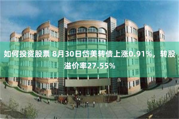 如何投资股票 8月30日岱美转债上涨0.91%，转股溢价率27.55%