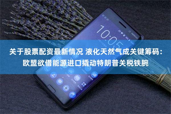 关于股票配资最新情况 液化天然气成关键筹码：欧盟欲借能源进口撬动特朗普关税铁腕