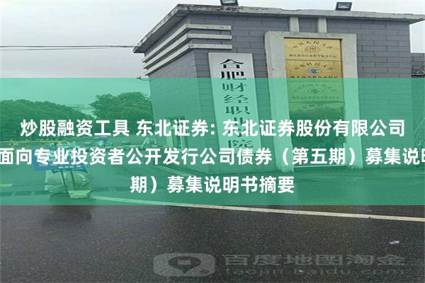 炒股融资工具 东北证券: 东北证券股份有限公司2024年面向专业投资者公开发行公司债券（第五期）募集说明书摘要