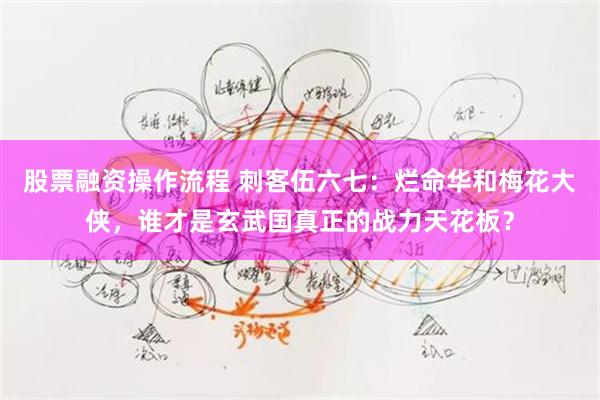 股票融资操作流程 刺客伍六七：烂命华和梅花大侠，谁才是玄武国真正的战力天花板？