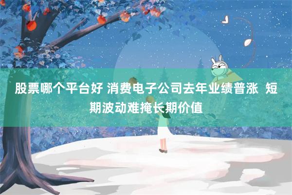 股票哪个平台好 消费电子公司去年业绩普涨  短期波动难掩长期价值