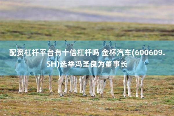 配资杠杆平台有十倍杠杆吗 金杯汽车(600609.SH)选举冯圣良为董事长