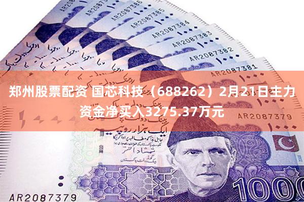 郑州股票配资 国芯科技（688262）2月21日主力资金净买入3275.37万元