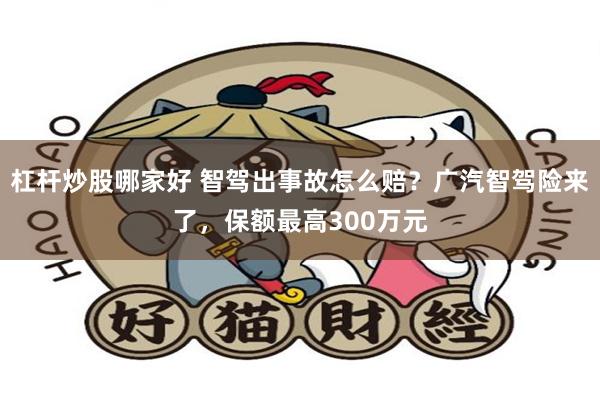 杠杆炒股哪家好 智驾出事故怎么赔？广汽智驾险来了，保额最高300万元