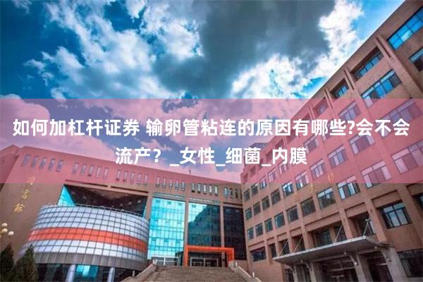 如何加杠杆证券 输卵管粘连的原因有哪些?会不会流产？_女性_细菌_内膜