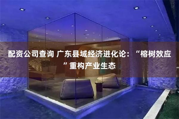 配资公司查询 广东县域经济进化论：“榕树效应”重构产业生态