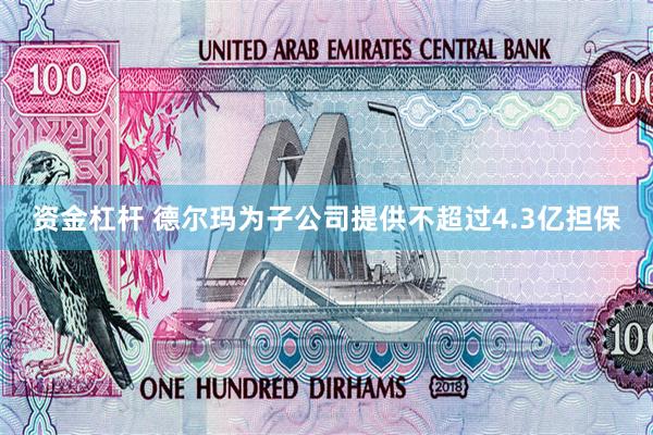 资金杠杆 德尔玛为子公司提供不超过4.3亿担保
