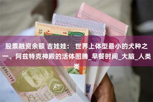 股票融资余额 吉娃娃： 世界上体型最小的犬种之一、阿兹特克神殿的活体图腾_早餐时间_大脑_人类
