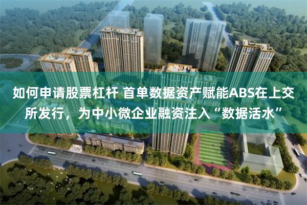 如何申请股票杠杆 首单数据资产赋能ABS在上交所发行，为中小微企业融资注入“数据活水”