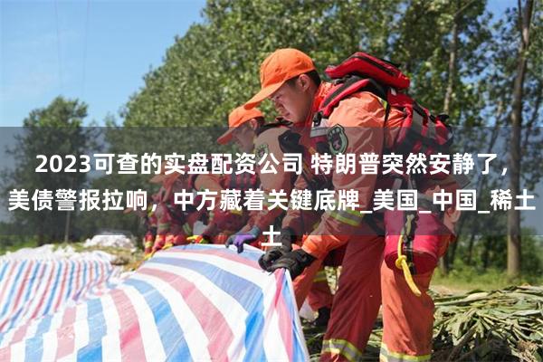 2023可查的实盘配资公司 特朗普突然安静了，美债警报拉响，中方藏着关键底牌_美国_中国_稀土