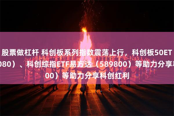 股票做杠杆 科创板系列指数震荡上行,科创板50ETF(588080)、科创综指ETF易方达(589800)等助力分享科创红利