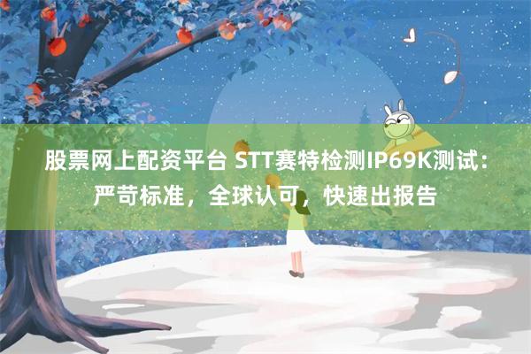 股票网上配资平台 STT赛特检测IP69K测试：严苛标准，全球认可，快速出报告
